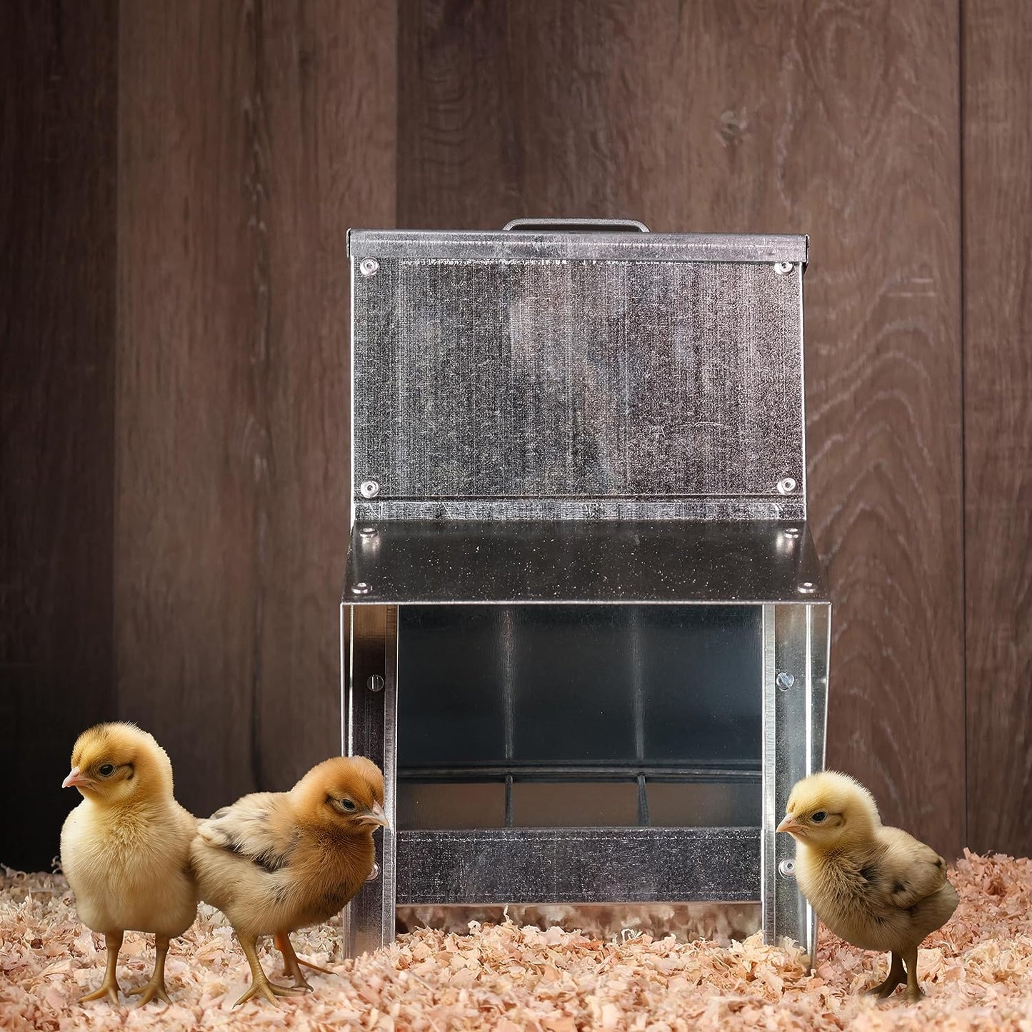 11.5Lb Capacity Galvanized Chicken Feeder 