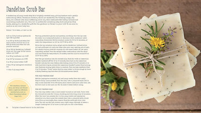 The Big Book of Homemade Products for Your Skin, Health and Home: Easy, All-Natural DIY Projects 