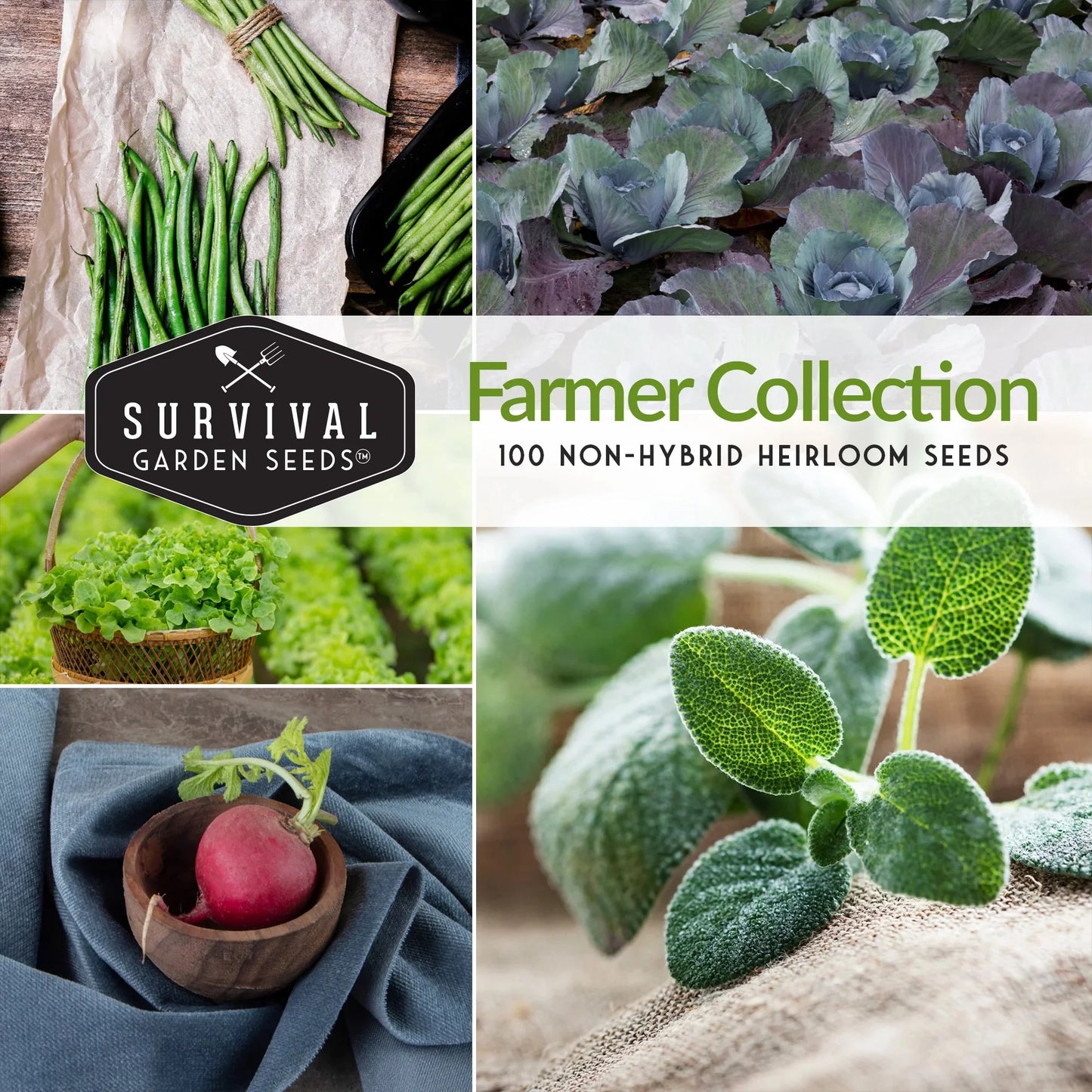 100 Pack Farmer Collection Vegetable Seeds - Non GMO Heirloom Full Sun Varieties - Emergency Seed Bank Survival Gear