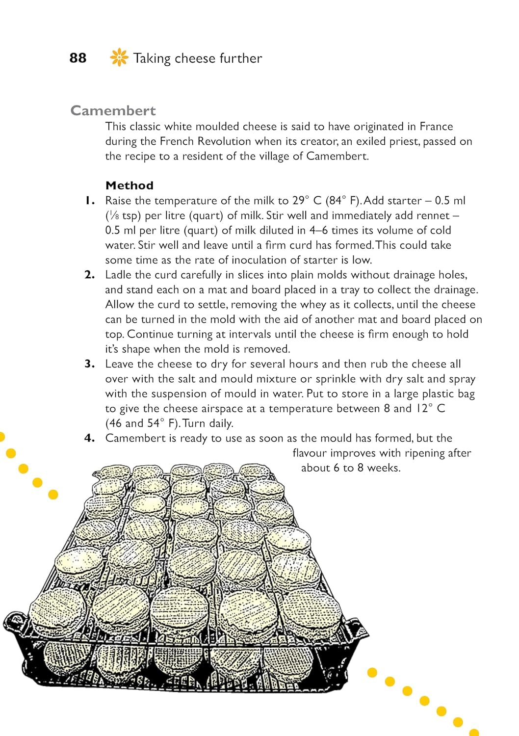 Self-Sufficiency: Cheese Making: Essential Guide for Beginners 