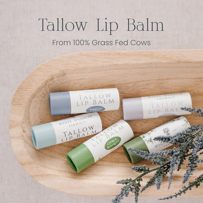 Organic Tallow Lip Balm (Lavender & Honey)