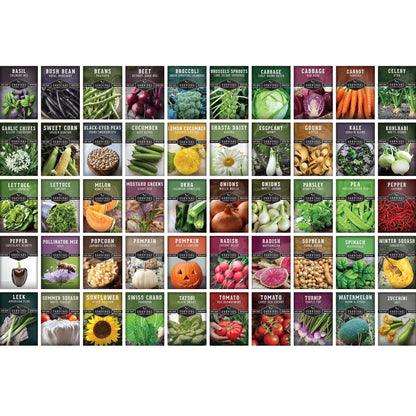 50 Varieties of Seeds for Planting a Vegetable & Herb Garden - Includes Tomato Seeds & Herb Seeds - Full Sun