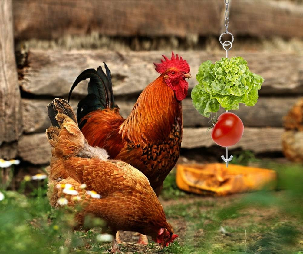 Chicken Veggies Skewer Fruit Food Holder Chicken Toy for Hens