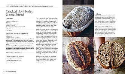 The Sourdough School : the Ground-Breaking Guide to Making Gut-Friendly Bread (Hardcover)