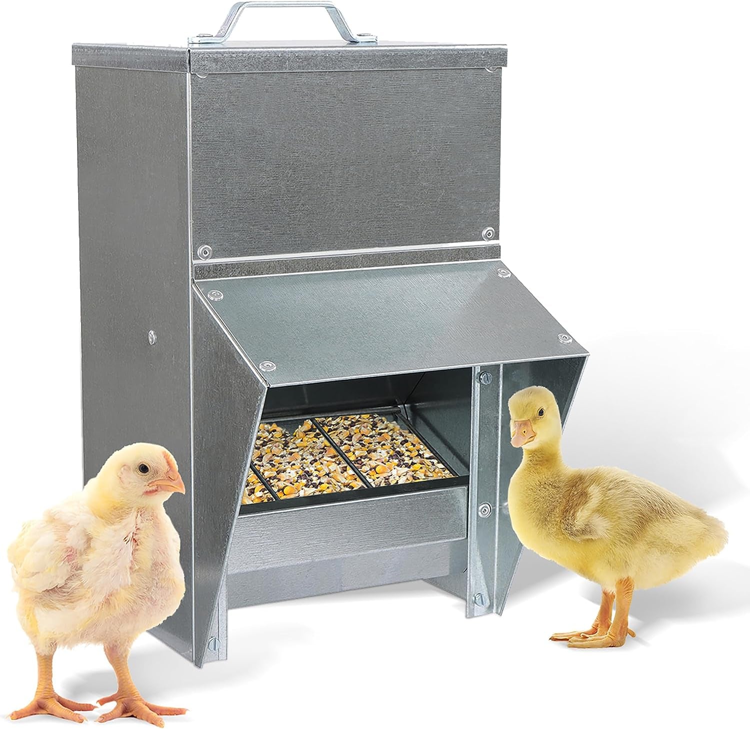 11.5Lb Capacity Galvanized Chicken Feeder 