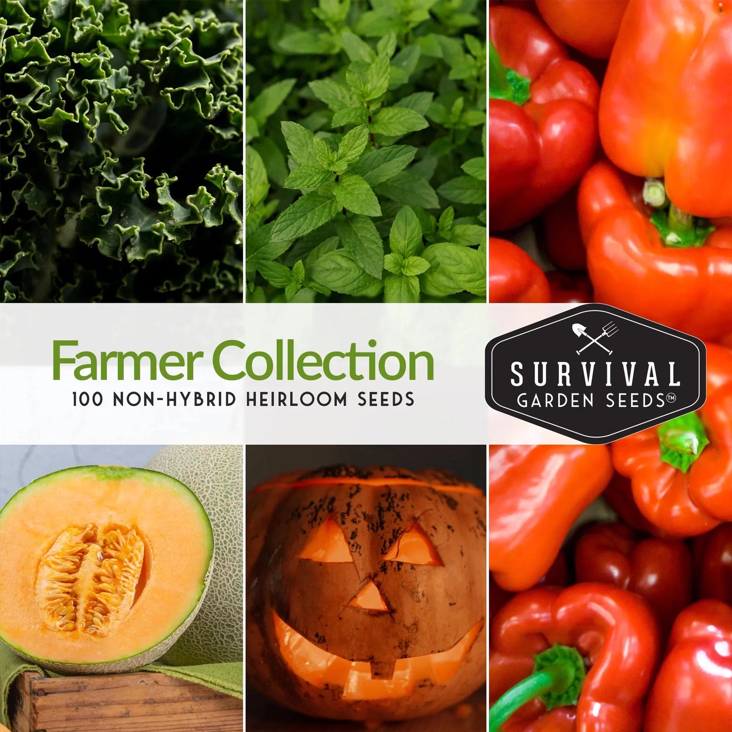 100 Pack Farmer Collection Vegetable Seeds - Non GMO Heirloom Full Sun Varieties - Emergency Seed Bank Survival Gear