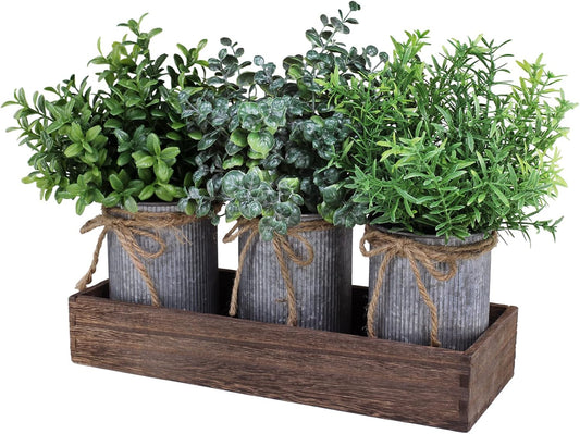 Set of 3 Mini Potted Plants Arrangement Faux Boxwood Eucalyptus Rosemary Plants 